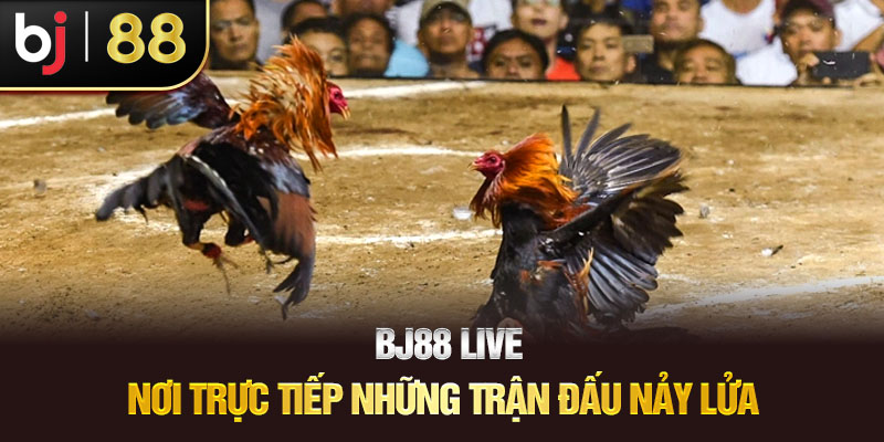 BJ88 Live – Nơi Trực Tiếp Những Trận Đấu Nảy Lửa  